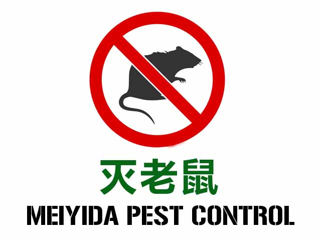 西安专业灭鼠服务