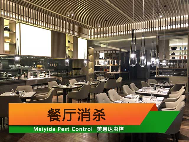 西安餐厅消杀/灭蟑螂/灭老鼠公司