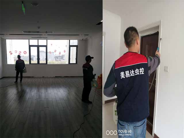 西安灭白蚁公司帮助雁塔区刘女士除白蚁,得到一致认可