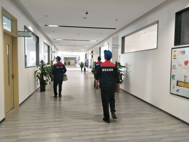 西安海鲜市场灭老鼠服务,找西安专业灭鼠公司