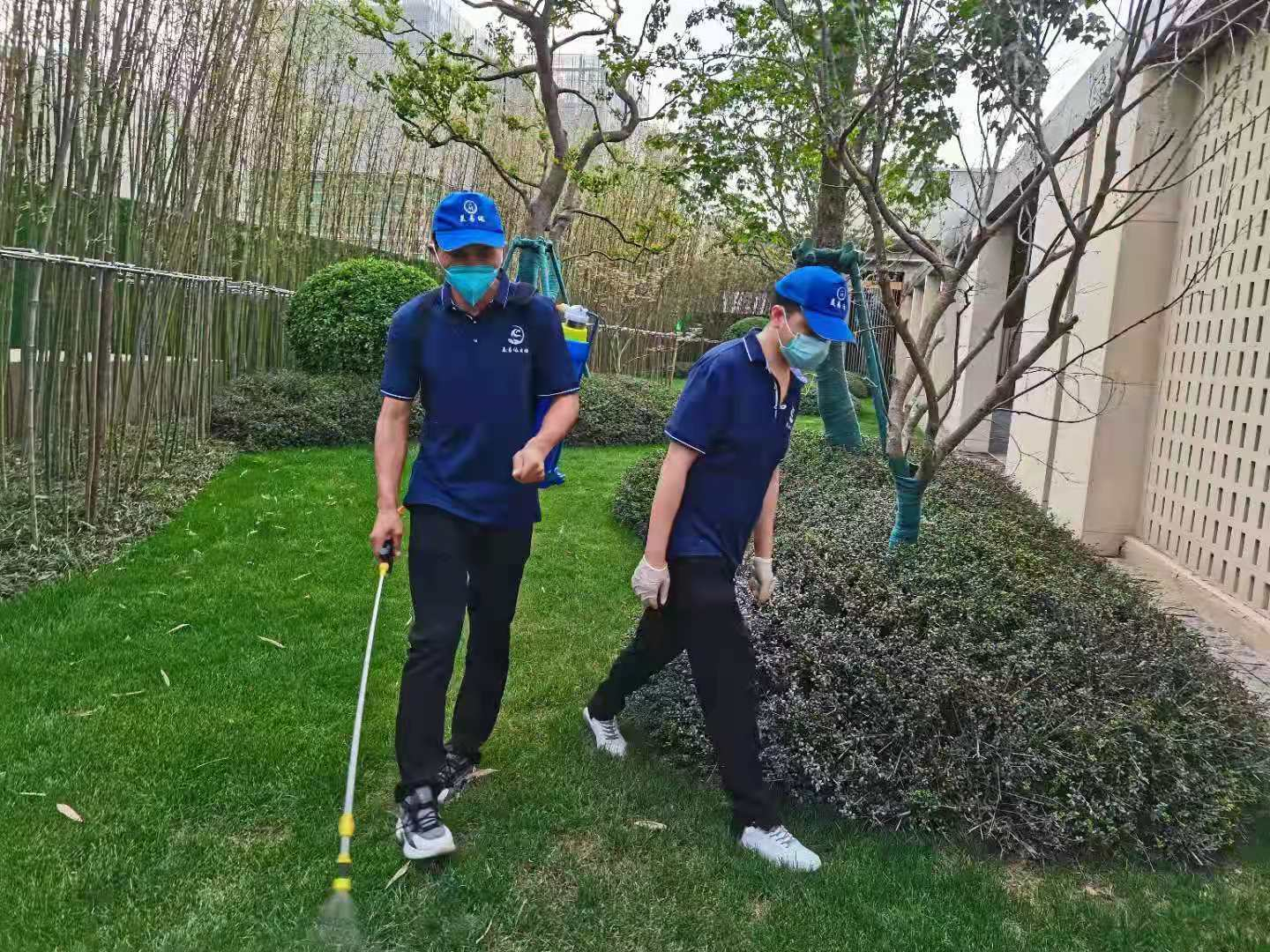 西安除老鼠灭蚊蝇正当时，360度无死角消杀