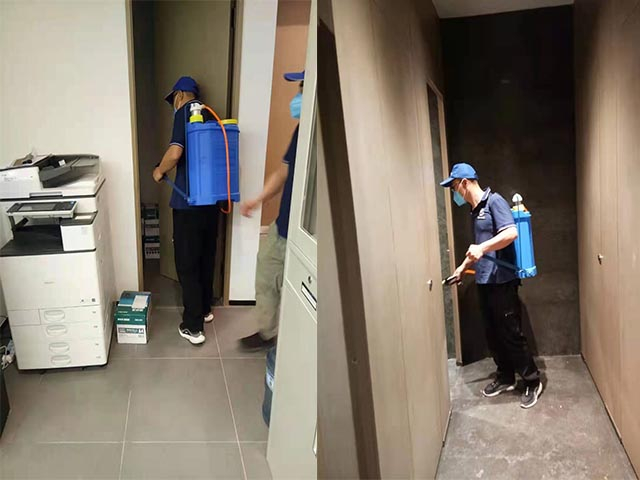 西安消杀灭白蚁用杀虫剂有没有效果