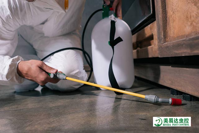 能确保把蟑螂根除吗