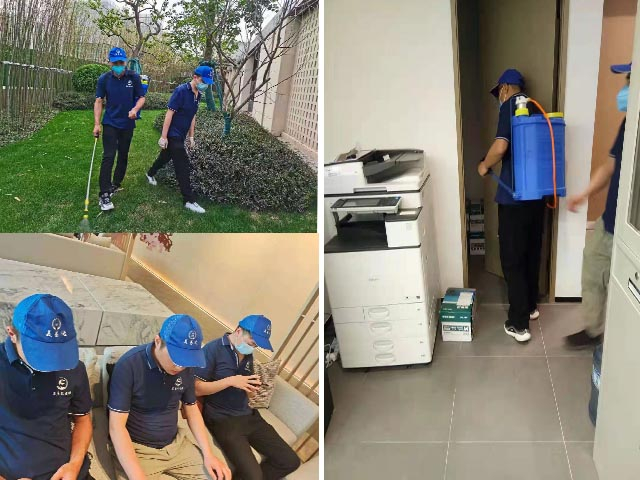 蚊子在吸血能不能被拍死，西安灭蚊蝇公司说不能