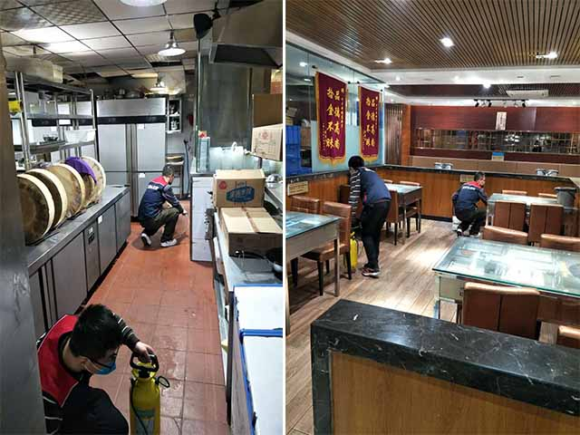 西安灭蟑螂公司和自己灭蟑螂有什么区别