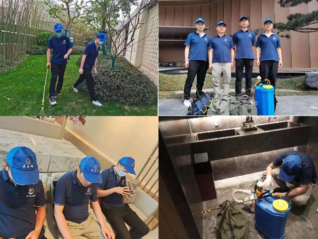 西安灭白蚁仍在高峰期，西安消杀公司讲对应方法