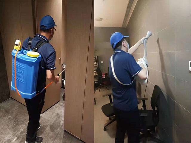 西安厨房如何防治蟑螂，西安灭蟑螂公司灭杀方法