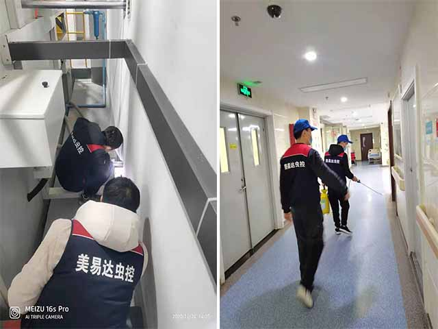 西安仓库灭鼠如何做，西安灭老鼠公司来教您