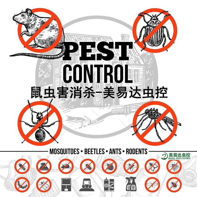 8538.jpg_wh1200.jpg 8538.jpg_wh1200.jpg