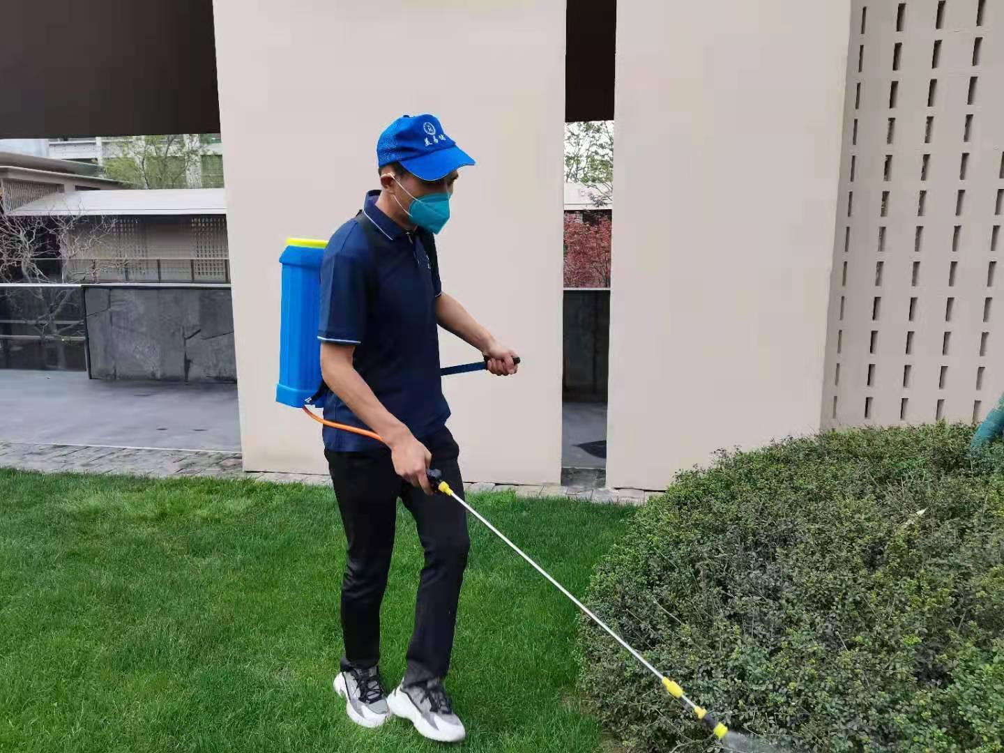 西安灭白蚁公司 专业灭白蚁十几年,可不能把这手艺浪费喽