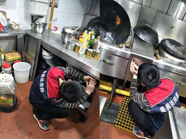 西安灭白蚁公司：灭除白蚁的方法都有哪些？