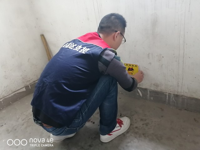 西安除鼠公司带你了解老鼠的危害,让西安市民远离鼠害侵扰