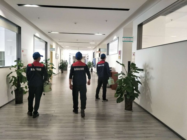 西安除鼠公司来探索老鼠出色的打洞能力