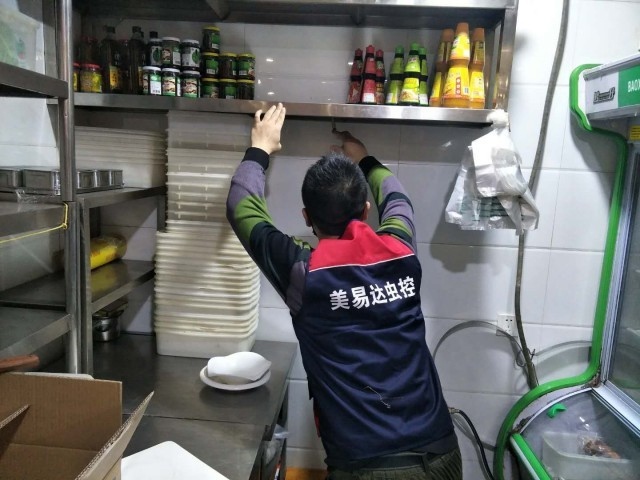 西安灭鼠公司谈谈水泥灭鼠到底管不管用