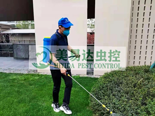 西安市民的灭蟑螂日记