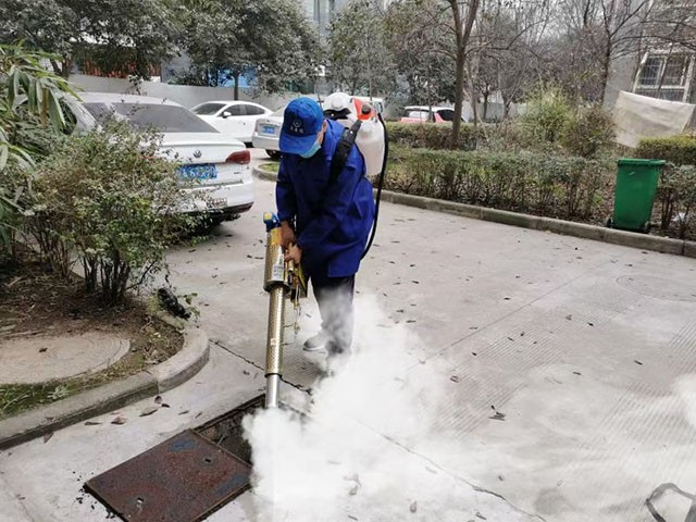 西安餐厅酒店要做好防鼠必须掌握这些