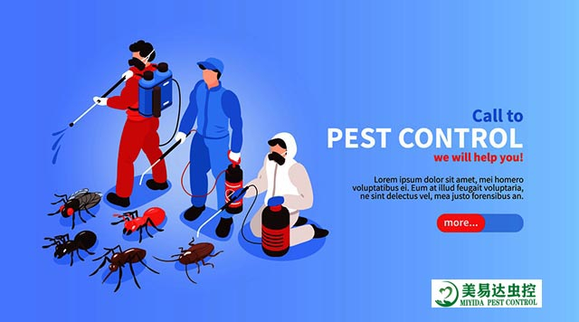 有那种会飞的蟑螂吗，西安灭蟑螂公司告诉你有