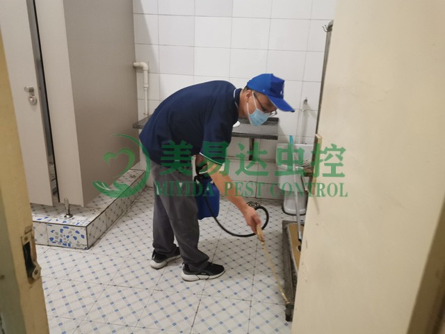 西安消杀公司说说正确的白蚁防制方法有哪些？