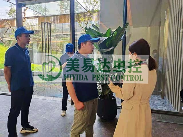 西安灭鼠公司分享预防鼠患和消除鼠患的方法