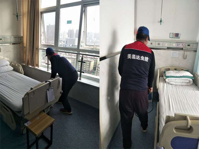 西安城市化的进程加快，好多昆虫也在城里安家落户了