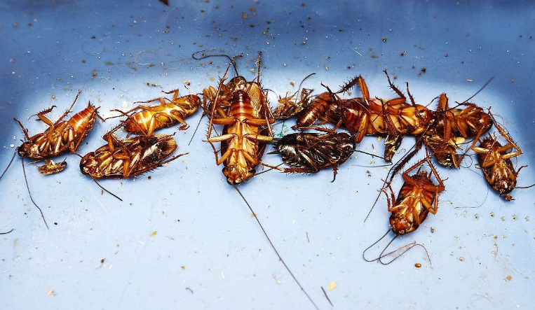 微信截图_20230321172140.png 微信截图_20230321172140.png