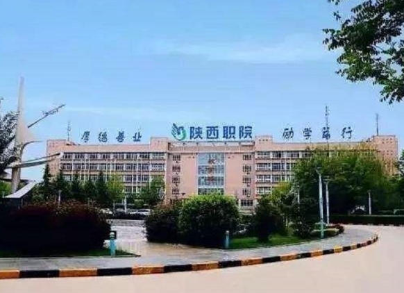 陕西职院228.jpg